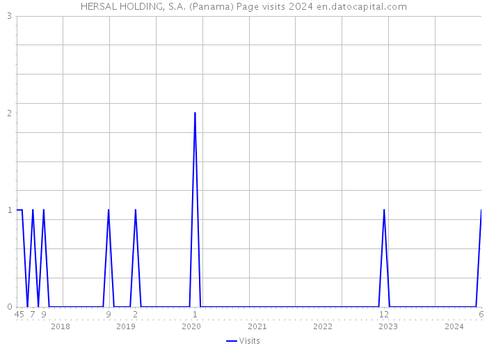 HERSAL HOLDING, S.A. (Panama) Page visits 2024 