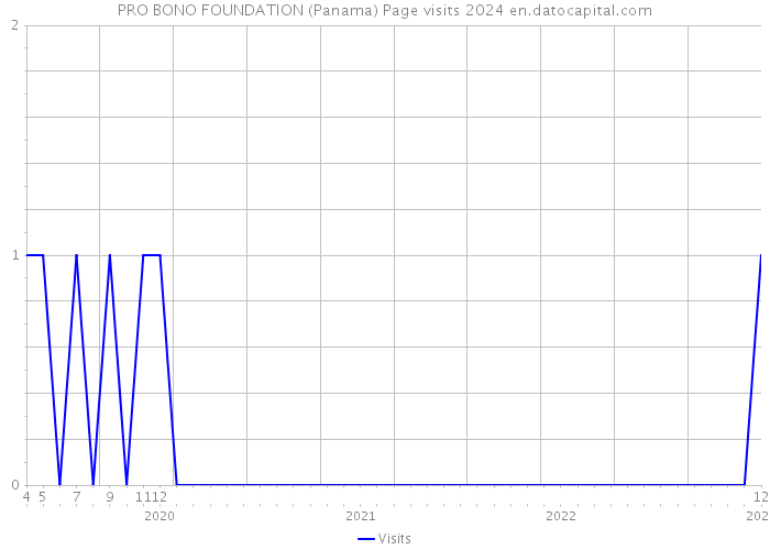 PRO BONO FOUNDATION (Panama) Page visits 2024 
