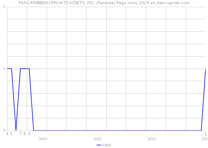 PANCARIBBEAN PRIVATE ASSETS, INC. (Panama) Page visits 2024 