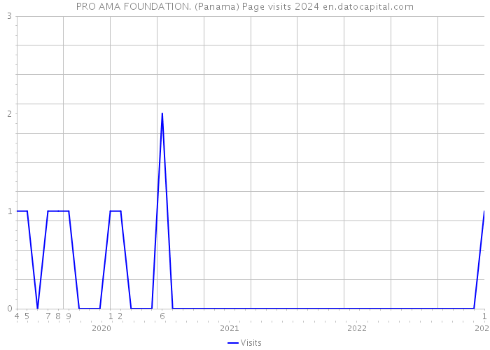 PRO AMA FOUNDATION. (Panama) Page visits 2024 