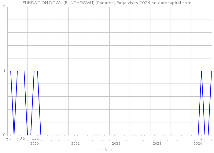 FUNDACION DOWN (FUNDADOWN) (Panama) Page visits 2024 