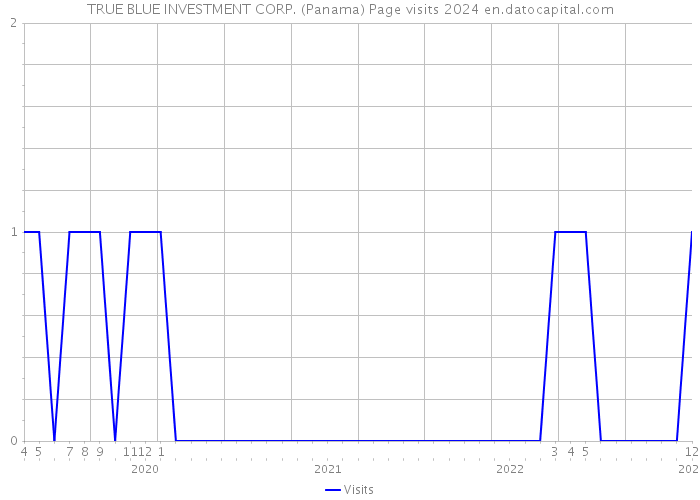 TRUE BLUE INVESTMENT CORP. (Panama) Page visits 2024 