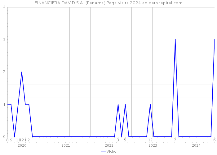 FINANCIERA DAVID S.A. (Panama) Page visits 2024 