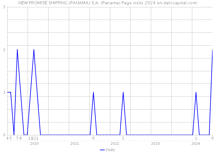 NEW PROMISE SHIPPING (PANAMA) S.A. (Panama) Page visits 2024 