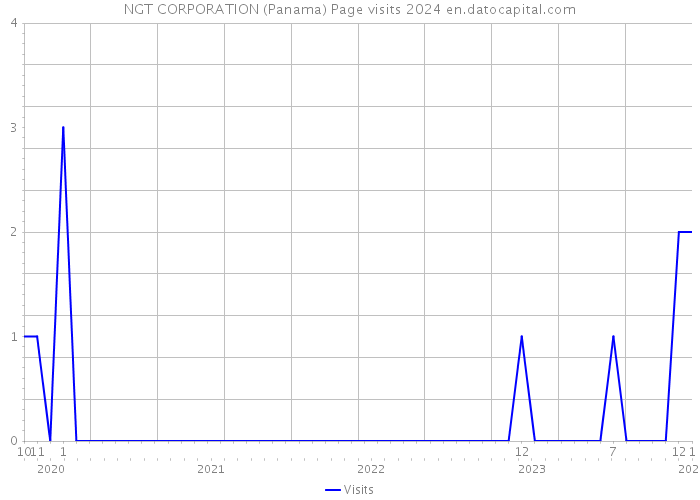 NGT CORPORATION (Panama) Page visits 2024 