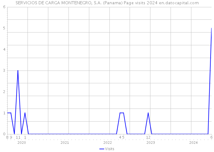 SERVICIOS DE CARGA MONTENEGRO, S.A. (Panama) Page visits 2024 