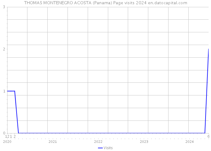 THOMAS MONTENEGRO ACOSTA (Panama) Page visits 2024 