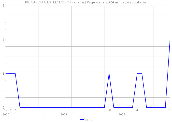 RICCARDO CASTELNUOVO (Panama) Page visits 2024 