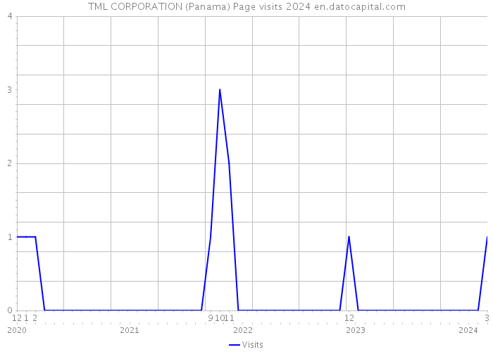 TML CORPORATION (Panama) Page visits 2024 