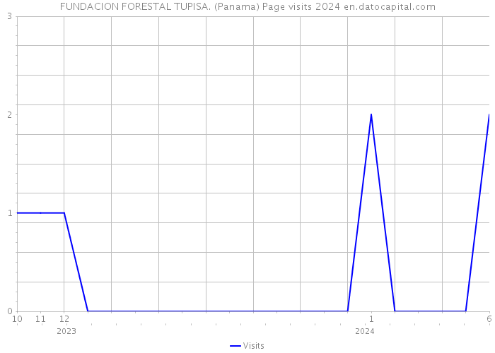 FUNDACION FORESTAL TUPISA. (Panama) Page visits 2024 