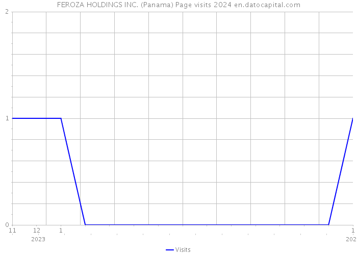 FEROZA HOLDINGS INC. (Panama) Page visits 2024 