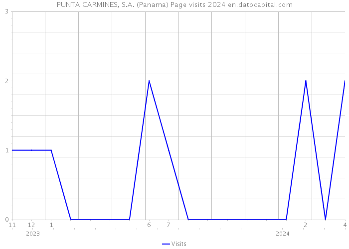 PUNTA CARMINES, S.A. (Panama) Page visits 2024 