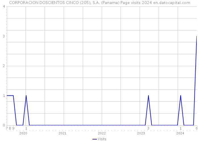 CORPORACION DOSCIENTOS CINCO (205), S.A. (Panama) Page visits 2024 