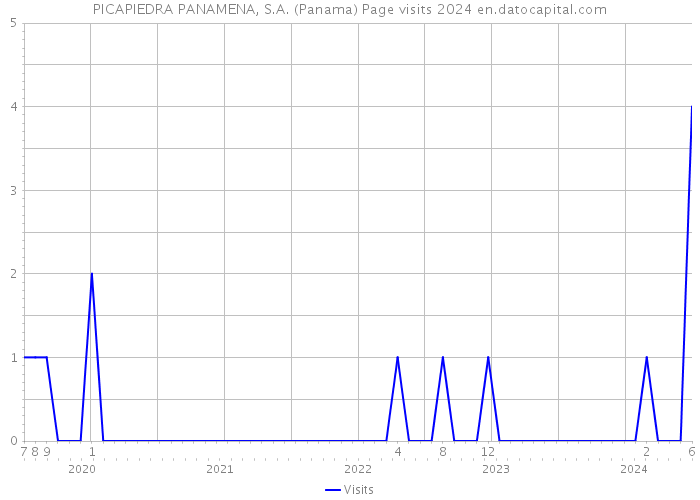 PICAPIEDRA PANAMENA, S.A. (Panama) Page visits 2024 