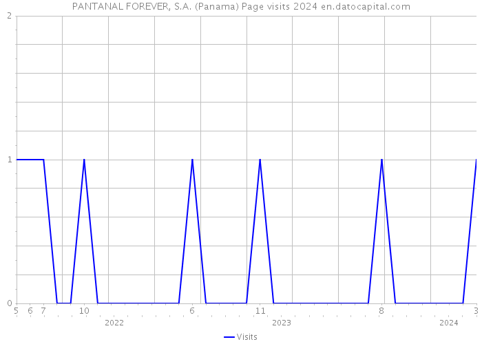 PANTANAL FOREVER, S.A. (Panama) Page visits 2024 