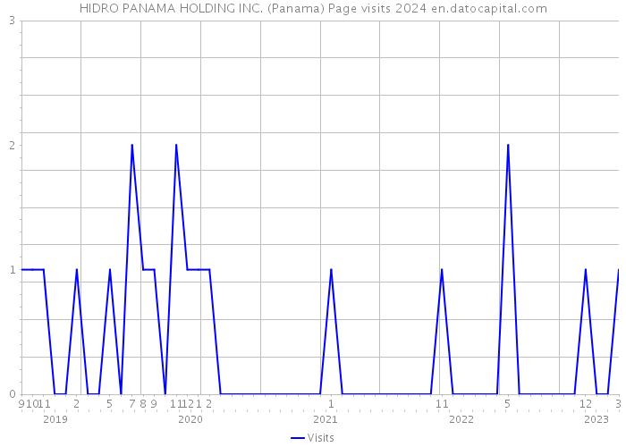HIDRO PANAMA HOLDING INC. (Panama) Page visits 2024 