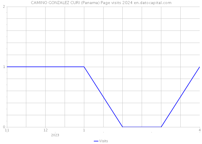 CAMINO GONZALEZ CURI (Panama) Page visits 2024 