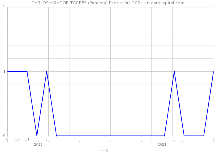 CARLOS AMADOR TORRES (Panama) Page visits 2024 
