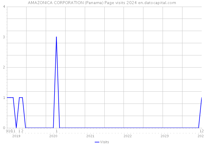 AMAZONICA CORPORATION (Panama) Page visits 2024 