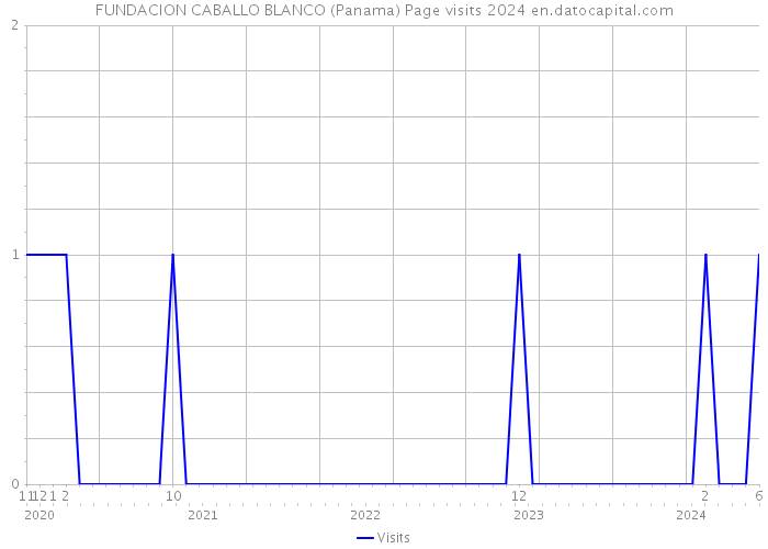 FUNDACION CABALLO BLANCO (Panama) Page visits 2024 
