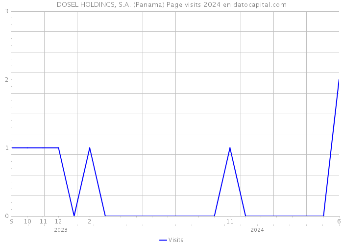 DOSEL HOLDINGS, S.A. (Panama) Page visits 2024 