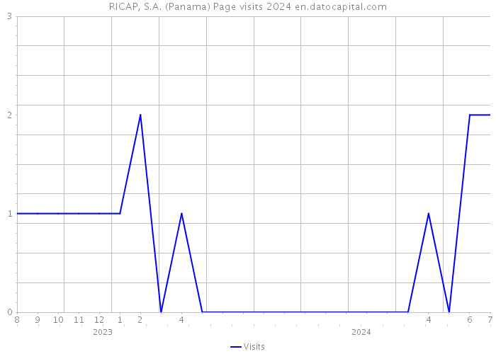 RICAP, S.A. (Panama) Page visits 2024 