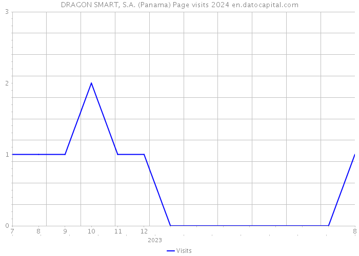 DRAGON SMART, S.A. (Panama) Page visits 2024 