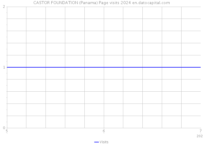 CASTOR FOUNDATION (Panama) Page visits 2024 
