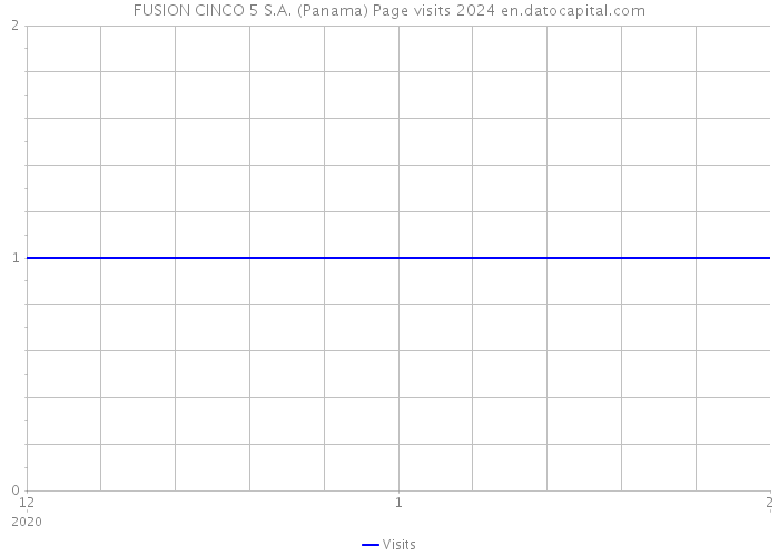 FUSION CINCO 5 S.A. (Panama) Page visits 2024 