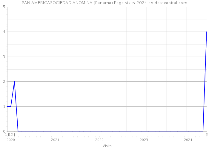 PAN AMERICASOCIEDAD ANOMINA (Panama) Page visits 2024 