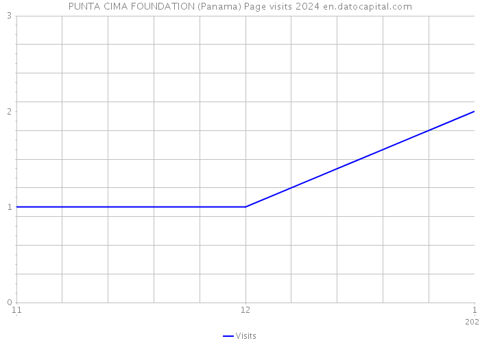 PUNTA CIMA FOUNDATION (Panama) Page visits 2024 
