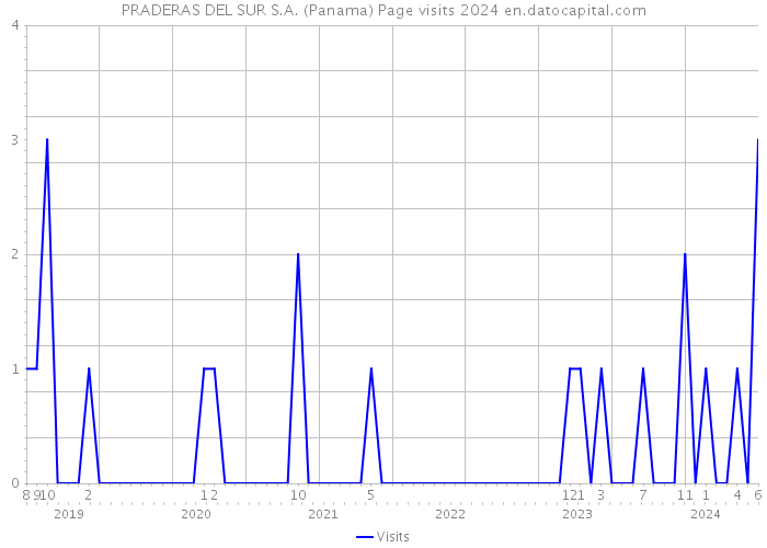 PRADERAS DEL SUR S.A. (Panama) Page visits 2024 