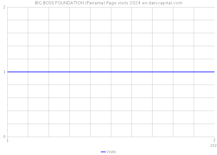 BIG BOSS FOUNDATION (Panama) Page visits 2024 