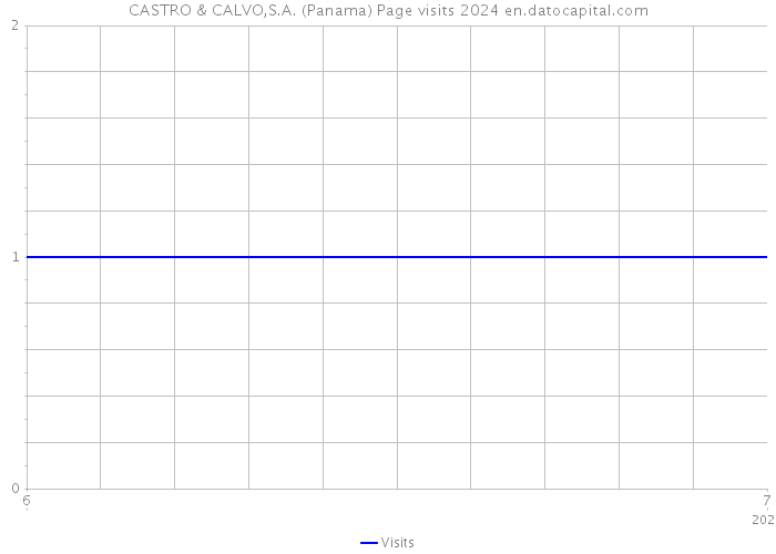 CASTRO & CALVO,S.A. (Panama) Page visits 2024 