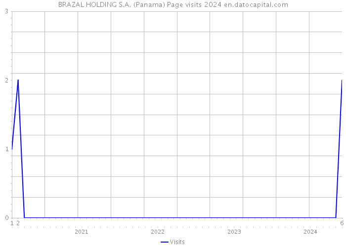 BRAZAL HOLDING S.A. (Panama) Page visits 2024 