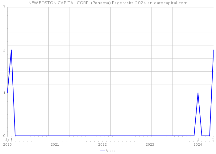 NEW BOSTON CAPITAL CORP. (Panama) Page visits 2024 