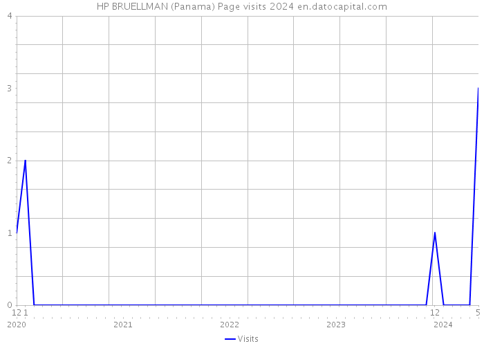 HP BRUELLMAN (Panama) Page visits 2024 