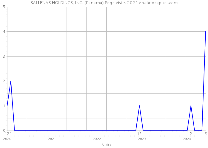 BALLENAS HOLDINGS, INC. (Panama) Page visits 2024 