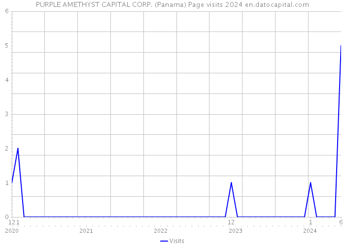 PURPLE AMETHYST CAPITAL CORP. (Panama) Page visits 2024 