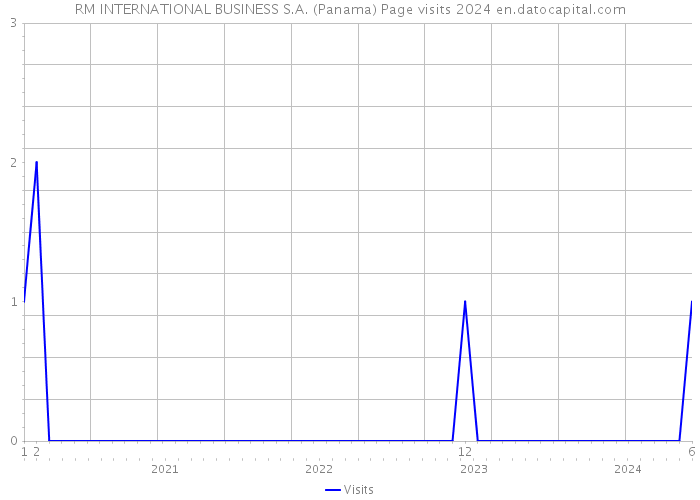 RM INTERNATIONAL BUSINESS S.A. (Panama) Page visits 2024 