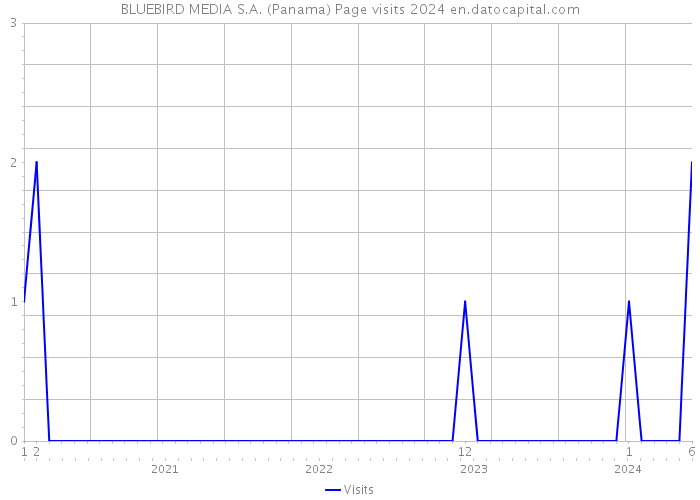BLUEBIRD MEDIA S.A. (Panama) Page visits 2024 