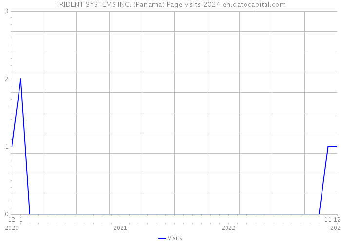 TRIDENT SYSTEMS INC. (Panama) Page visits 2024 