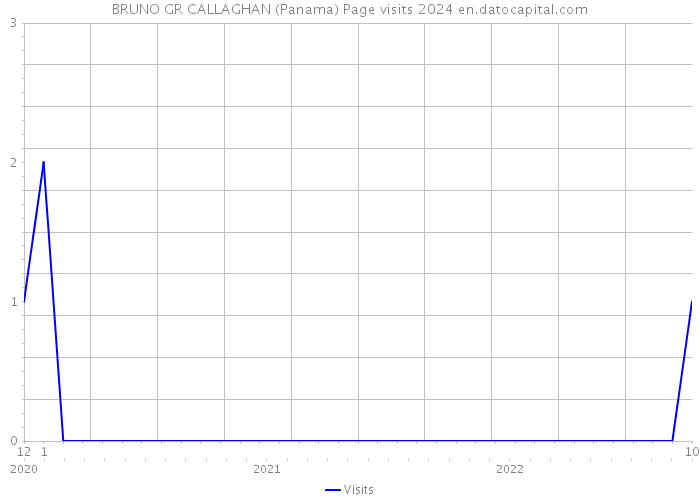 BRUNO GR CALLAGHAN (Panama) Page visits 2024 
