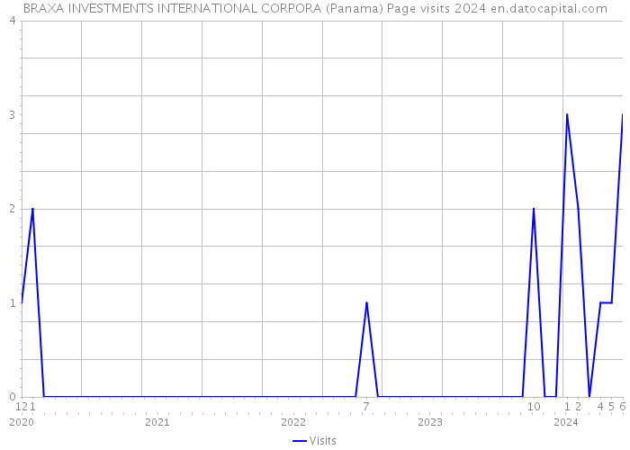 BRAXA INVESTMENTS INTERNATIONAL CORPORA (Panama) Page visits 2024 