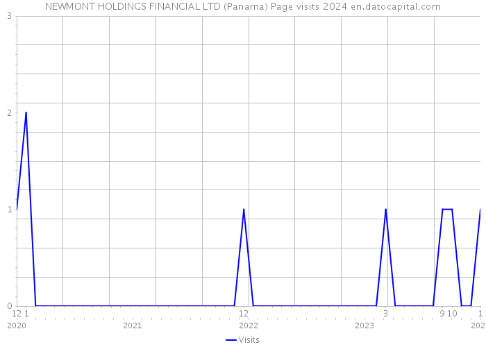 NEWMONT HOLDINGS FINANCIAL LTD (Panama) Page visits 2024 