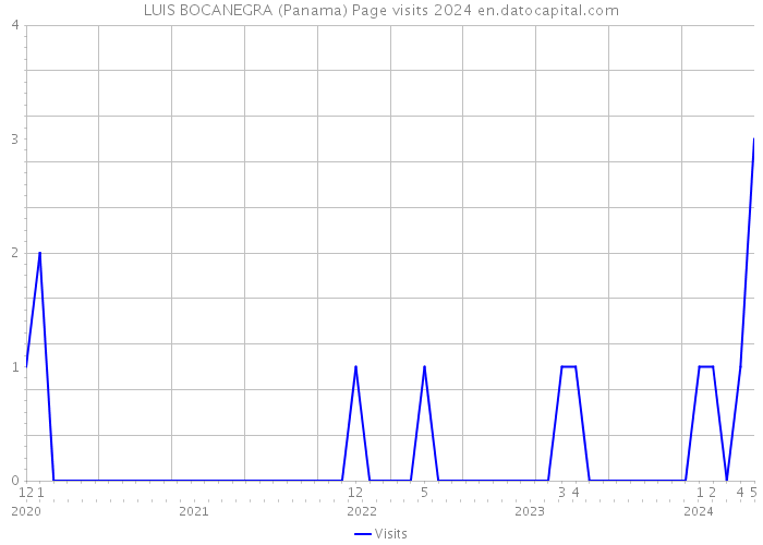LUIS BOCANEGRA (Panama) Page visits 2024 