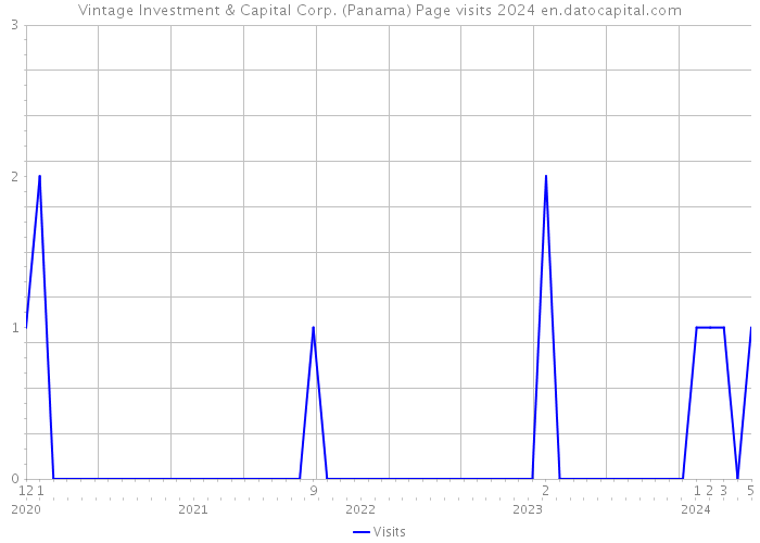 Vintage Investment & Capital Corp. (Panama) Page visits 2024 