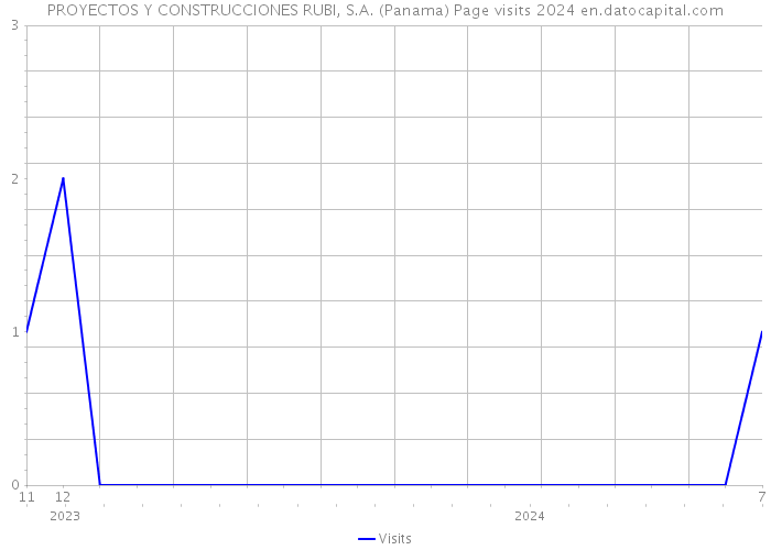 PROYECTOS Y CONSTRUCCIONES RUBI, S.A. (Panama) Page visits 2024 