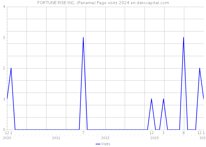 FORTUNE RISE INC. (Panama) Page visits 2024 