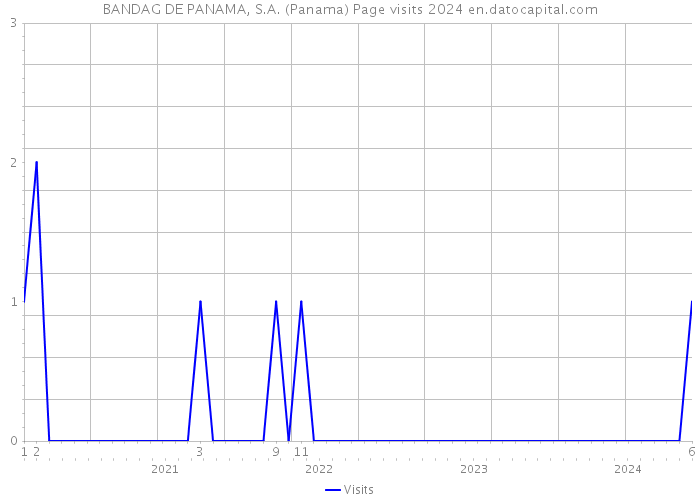 BANDAG DE PANAMA, S.A. (Panama) Page visits 2024 